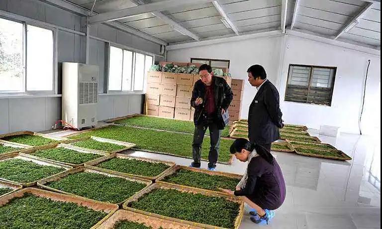 法维莱产品与项目图片